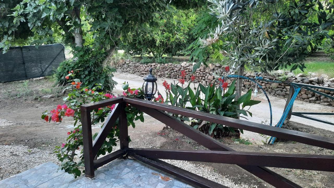 Teo Hotel Çıralı Esterno foto